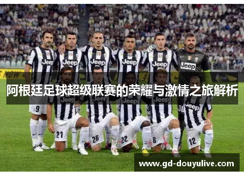 阿根廷足球超级联赛的荣耀与激情之旅解析