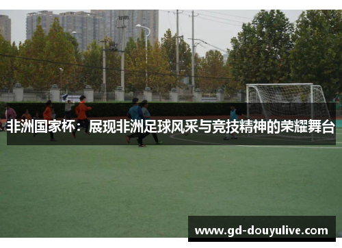 非洲国家杯：展现非洲足球风采与竞技精神的荣耀舞台